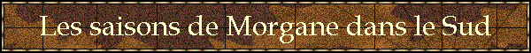 Les saisons de Morgane dans le Sud